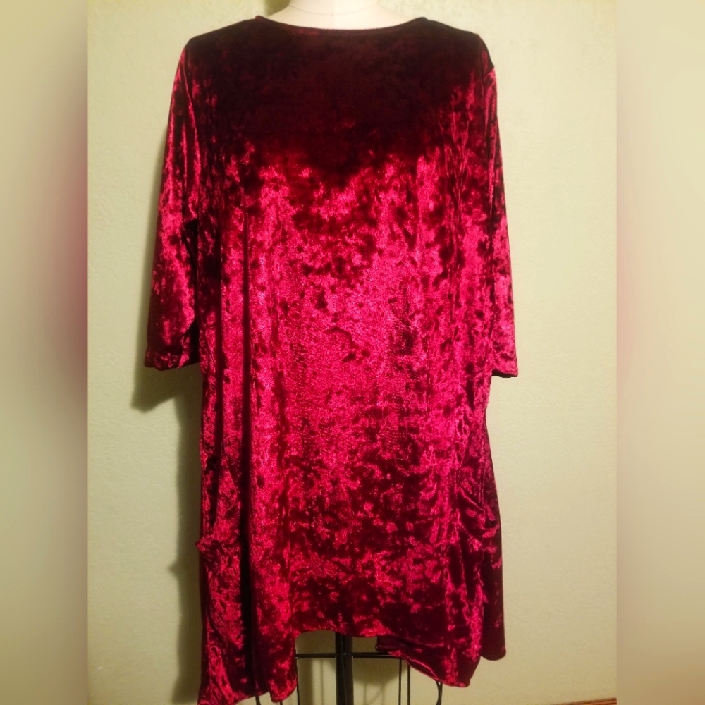 Apparel Garden Velvet Tunic/Dress size Medium